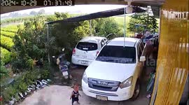 Toddler narrowly avoids being crushed by pick-up truck pulling off driveway
