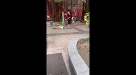 Pensioner and pet dog play on fitness equipment in park