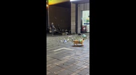 Corgi playfully chases whirlwind in Wuhan