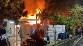 Pet American Bully saves pensioner from house fire