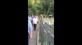 Monkey slaps bald man in Guiyang park video