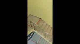 Mouse survives fall from multiple floors in North Sumatra, Indonesia