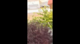 Woman and Her Dog Rescued by Helicopter During Deadly Flash Floods in Spain