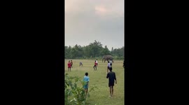 Nelly-mar! Wild elephant plays football with youngsters in India