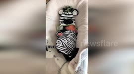 US: Cleveland Clinic Children’s NICU Spreads Joy with Adorable Costumes