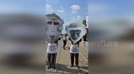 Colombia: Dramatic Protest at COP16 as Advocates Call for End to Monkey Exports for Lab Testing