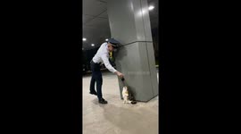 Security guard plays with stray calico cat at carpark