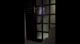 Cat opens door in Casserengue, Brazil