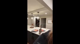 Cat impresses owner with impressive jump trick