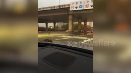 Rat scurries across front of car as couple drives down motorway