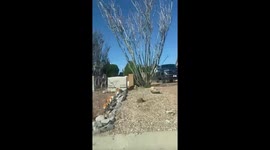 Halloween mannequin display surprises locals in Kingman