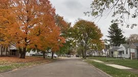 Windy Autumn Weather Footage