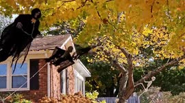 High Winds In Lexington