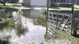 Flood in Volusia FL, USA