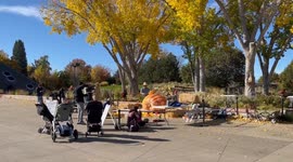 Amazing Weather for Pumpkin Carving
