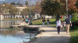 Saturday In The Park