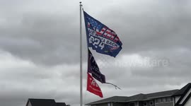 Windy Day with Trump 2024 Flags