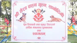 Nepal Army honours service dogs with performance followed by pet treats