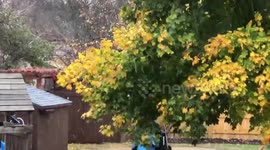 US: Halloween Storm Brings Snow To Much Of Minnesota