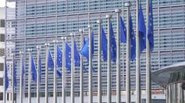 Germany: German automobile industry opposes EU decision on Chinese EV tariffs