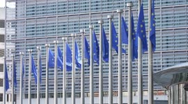 Germany: German auto sector fears backlash from EU tariffs on Chinese EVs