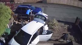 Clumsy dad jumps into wheelie bin to stamp it down - and topples over