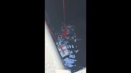Cat rescued from sewer in Wuhan City