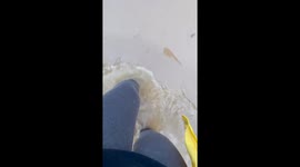 Flooding in Valencia, Spain, leaves vehicles submerged