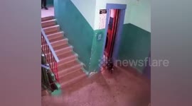 Accidental hero saves dog after its leash gets caught in closed lift door