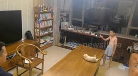 Cat chases tennis ball across table during game in Fujian, China