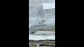 Geese battle through Typhoon Kong-rey in Taiwan