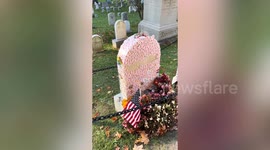 Hundreds put stickers on grave of activist Susan B Anthony after voting for Harris