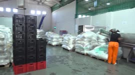 South Africa: South Africa funds 35 companies coming for import expo