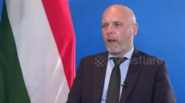 Hungary: EU tariffs on Chinese EVs are