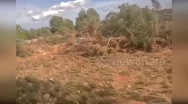 Spain: Specialized Teams and Search Dogs Intensify Hunt for Missing in Flooded Paiporta