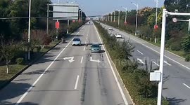 Escaped ostrich runs between moving cars in middle of road