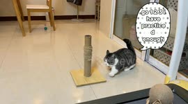 I m not fat i m juste strengh you will never catch me I train twice a day in house