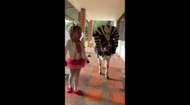 Adorable Cow and Girl Halloween Duo