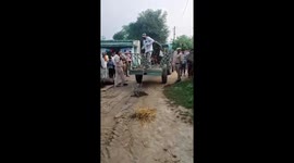 Crocodile caught inside family's house in village in India