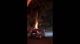 Reckless Diwali revellers launch fireworks from moving car