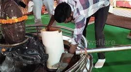 Indian spectacled cobra caught inside religious compound