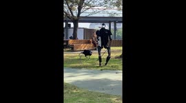 Human robot takes his robot pet dog for a walk in dystopian scenes in China