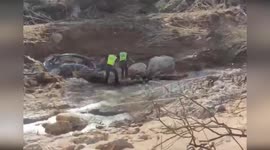 Rescue dogs search for flood survivors in Valencia, Spain