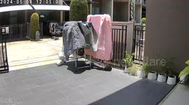 Flying 'superhero' cat leaps from roof onto blanket being dried on clothes rack