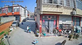 Heroic woman saves neighbour's child from rampaging boar in China