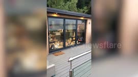 Dad forced to demolish luxury cabins with hot tubs after two year planning row