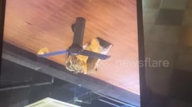 Naked British tourist, 51, 'covered in excrement' falls from hotel balcony in Thai 'Sin City' Pattaya