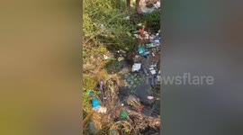 Drowning horse rescued from well in central India