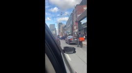 Police corner stolen truck after collision with horse and vehicles in Toronto
