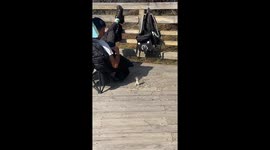 Chipmunk eats from hand in Hebei, China
